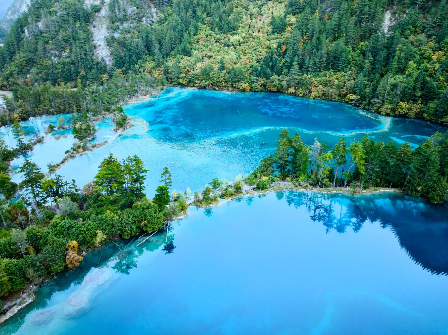A vivid blue mountain lake surrounded by dense green forest, seen from an elevated viewpoint