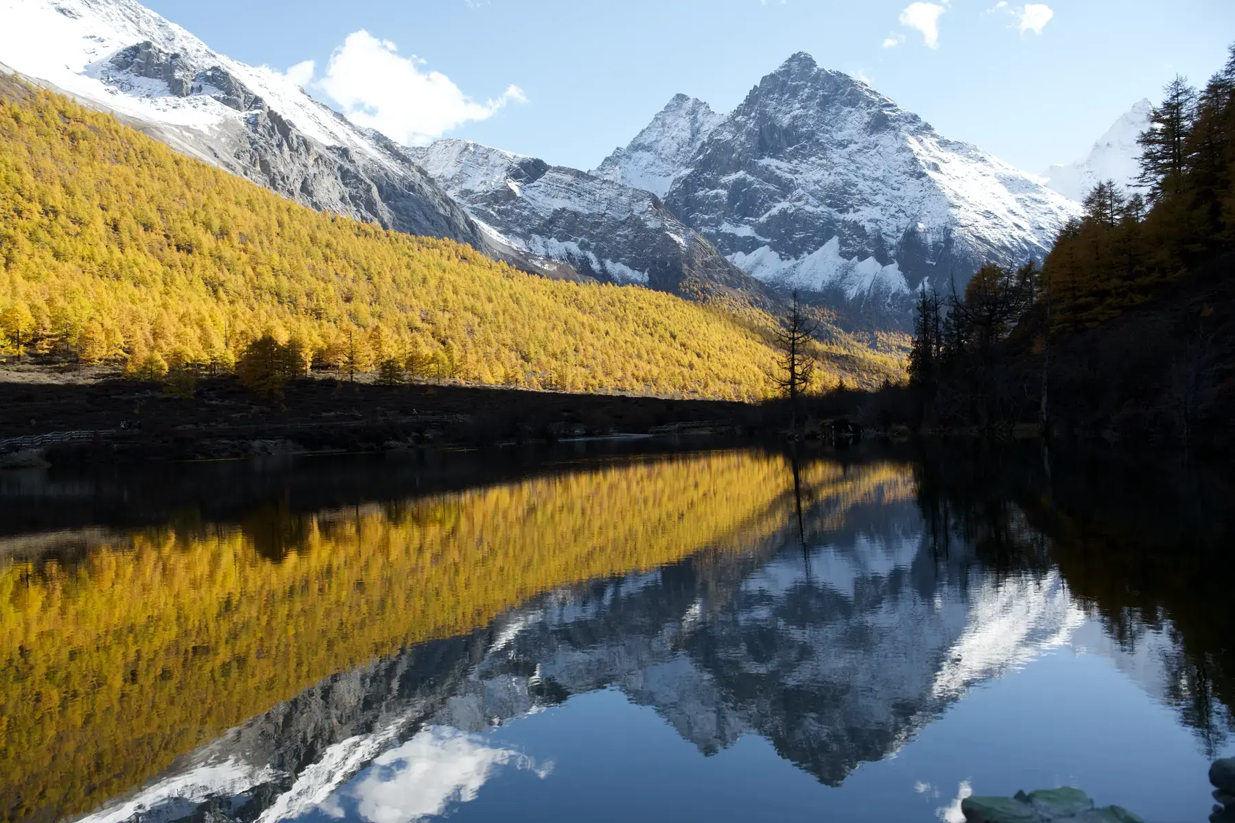 Snow-covered mountains and golden autumn forest reflected across still water